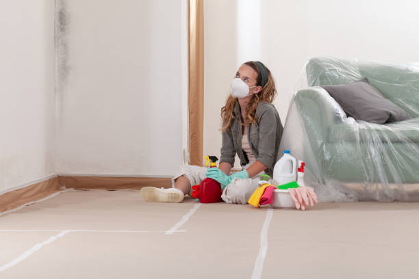 Reliable Mold Remediation contractor in Chico, WA by 24 Hour Mold Removal